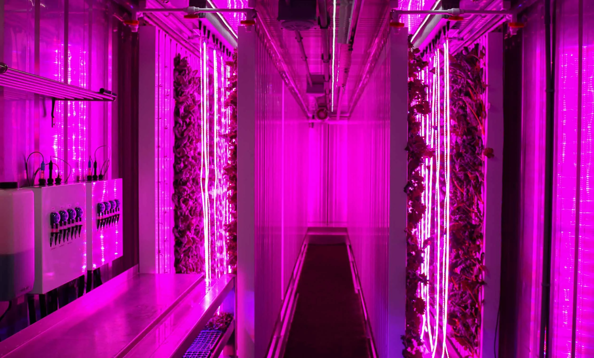 Freight Farm Interior (Copy)