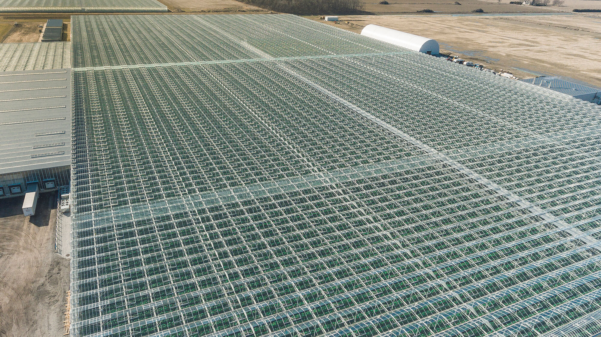 NFF-Leamington_Expansion-1-25March2018.jpg