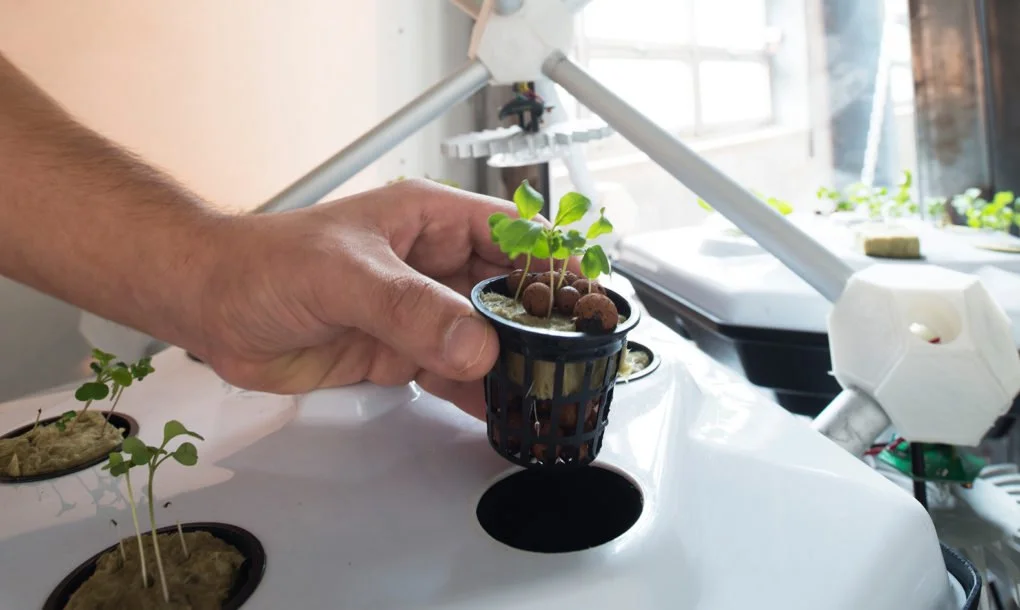 Hexagro-Indoor-Farming-1020x610.jpg