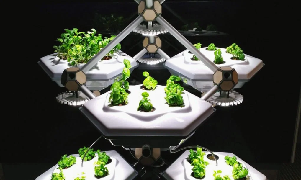 Hexagro-Living-Farming-Tree-1-1020x610.jpg