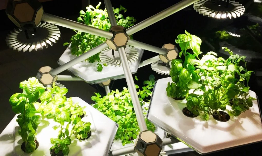 Hexagro-Living-Farming-Tree-1020x610.jpg