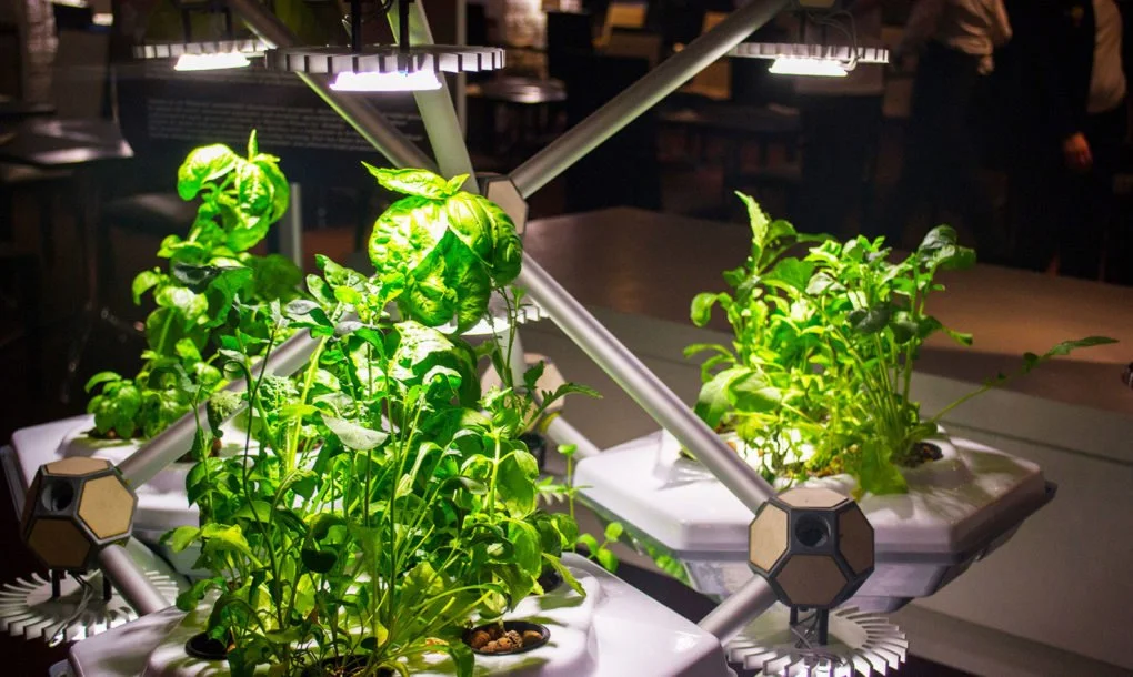 Hexagro-Urban-Farming-1020x610.jpg