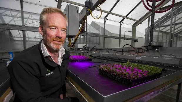 Warren Bebb, BioLumic chief executive, in the glasshouse where seedlings are treated with UV light. | PHOTO: DAVID UNWIN/STUFF