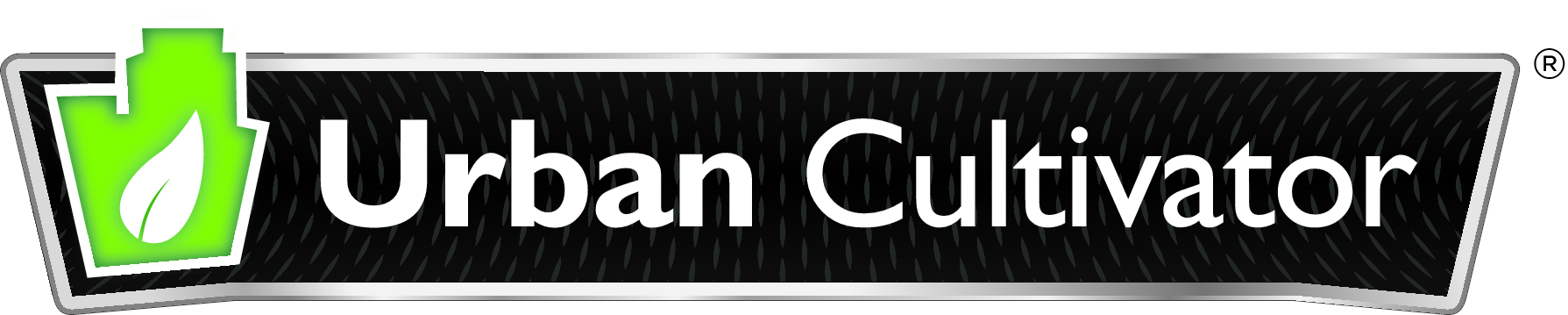 Homegrown Solutions: The Rise And Rise Of The Microgreen