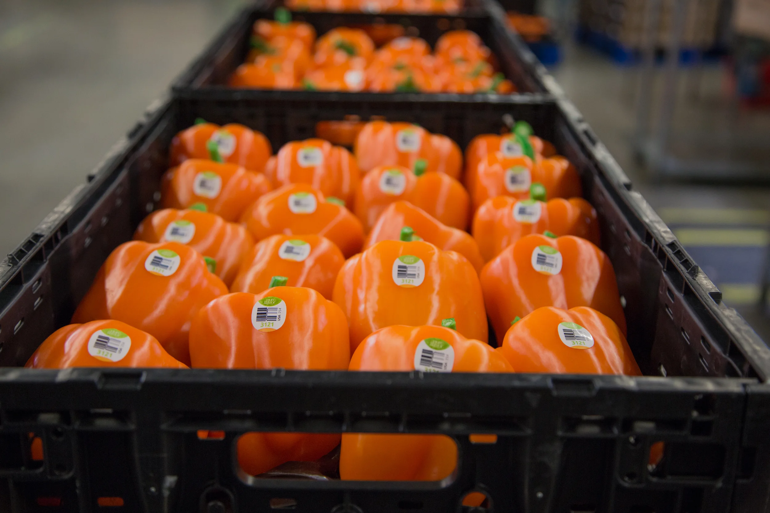 PF-IFCO_RPC-BellPeppers-1-27Feb2018.jpg