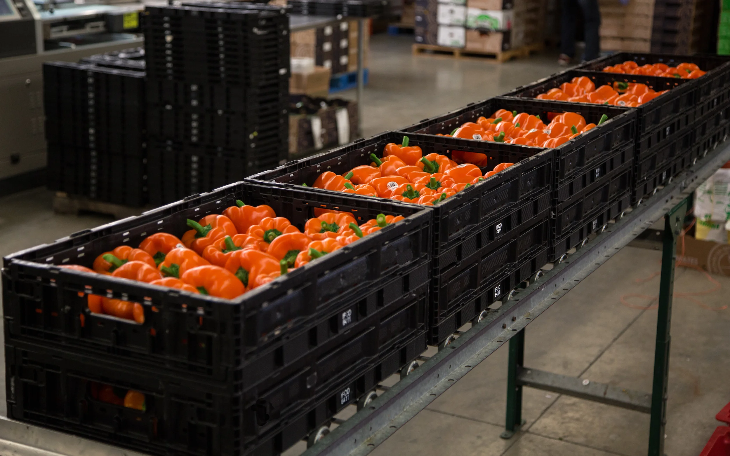 PF-IFCO_RPC-BellPeppers-3-27Feb2018.jpg