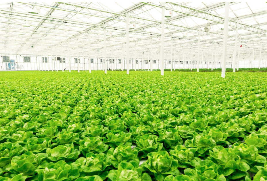 Screen Shot 2018-04-11 at 1.01.12 PM.png