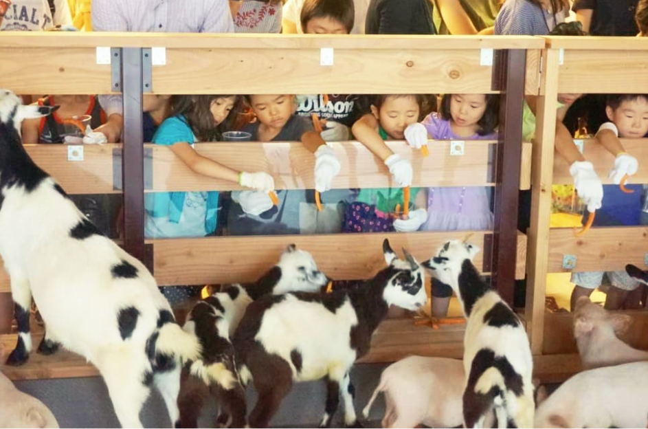 Screen Shot 2018-04-11 at 1.02.09 PM.png