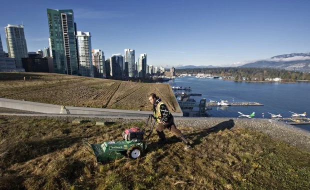 A landscaper mows the grass during its annual grooming on the roof of the Vancouver Convention Centre. The six-acre green roof has a range of indigenous plants, as well as beehives. (Andy Clark/Reuters)