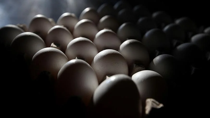 egg-recall-salmonella-scare.jpg