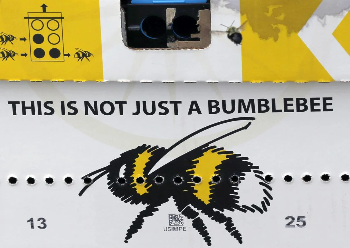 5ad14a6c839c0.image.jpg