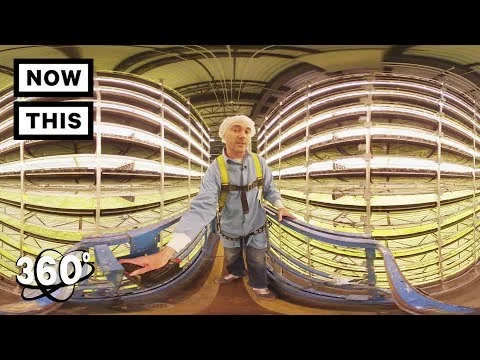 360 TOUR - AeroFarms: The Future of Farming | Unframed by Gear 360 | NowThis (Copy)