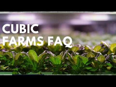 Why Cubic Farming? FAQ (Copy)