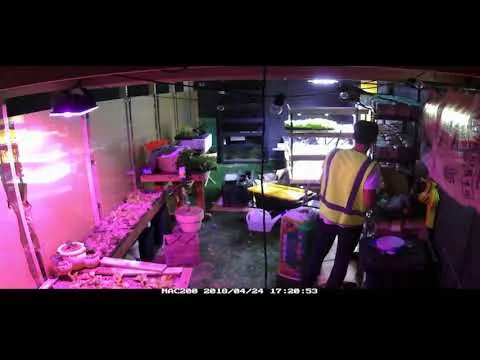 Cultivate Urban Farm Time Lapse - Farmwall (Copy)