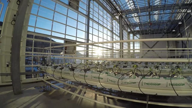 Happy 2nd Anniversary, Vertical Harvest (Copy)