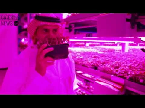 Badia Farms - The GCC's first indoor vertical farm (Copy)