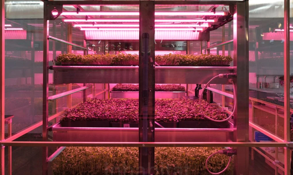 vertical-farming-3-1020x610.jpg