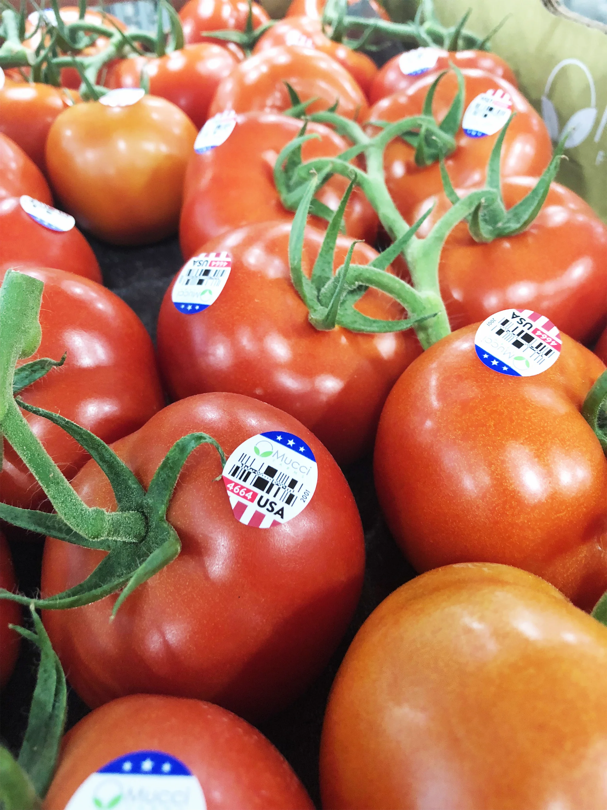 Mucci Farms - Ohio Press Release Assets - 4.jpg