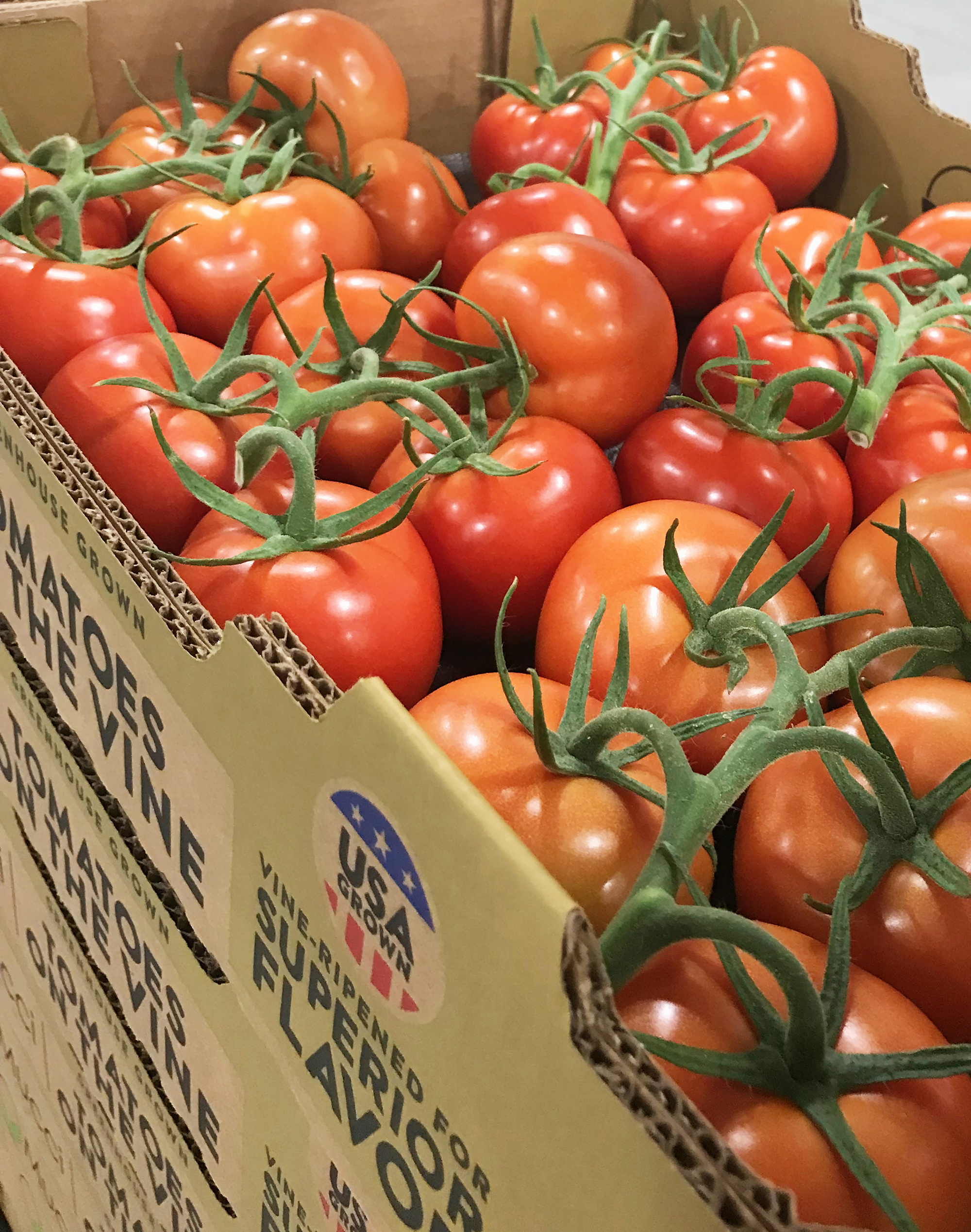 Mucci Farms - Ohio Press Release Assets - 3.jpg