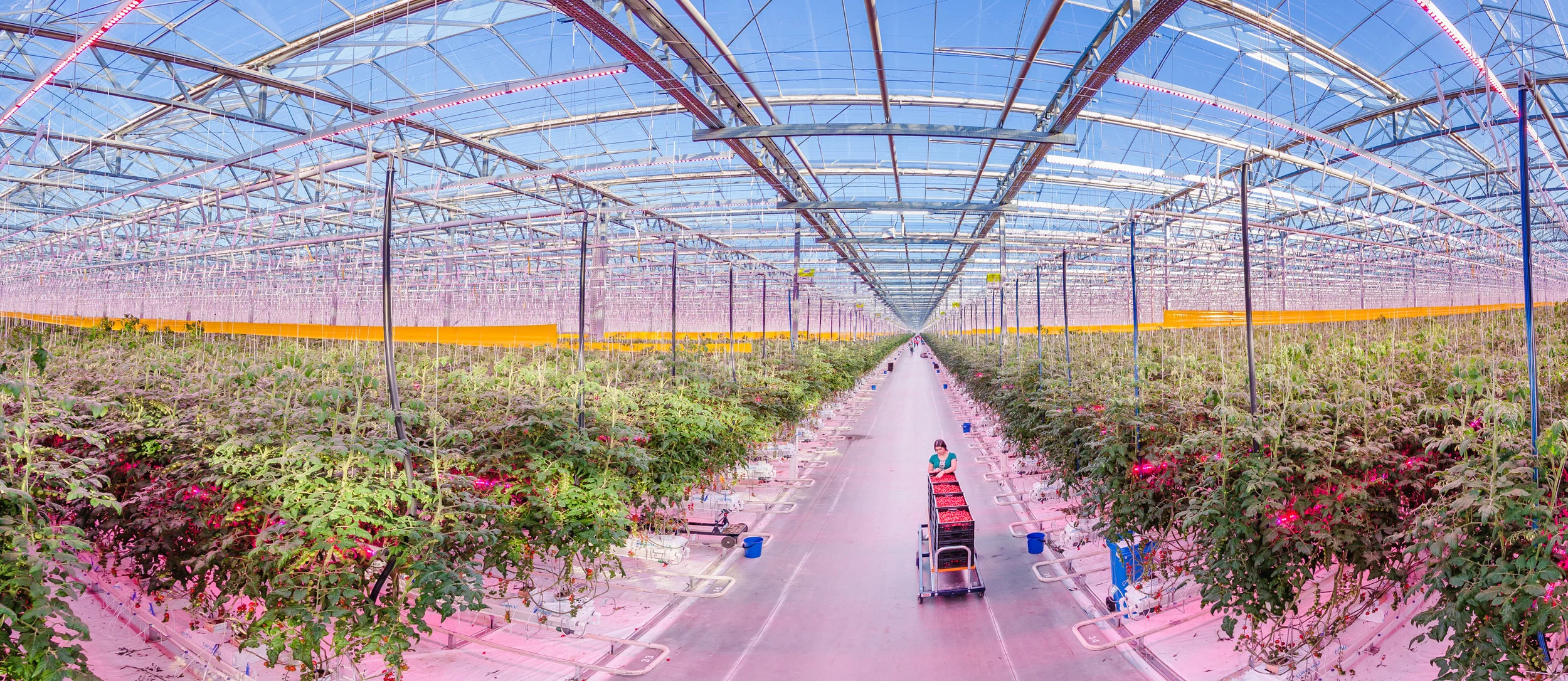 Signify_AGROINWEST-2.jpg