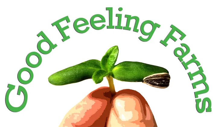 A Microgreens Farm Grows In Asbury Park, New Jersey