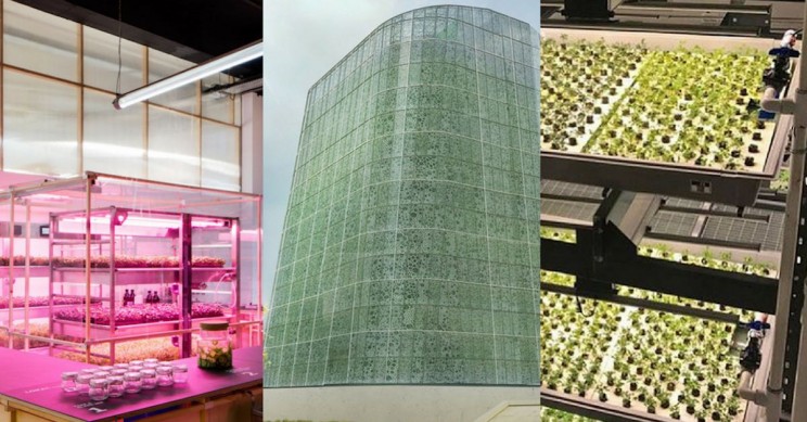 Revolutionizing Urban Agriculture: Innovative Hydroponic Farming Startups
