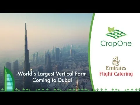 Future of Farming: Crop One's Joint Venture Will Be The Largest Vertical Farm In the World (Copy)