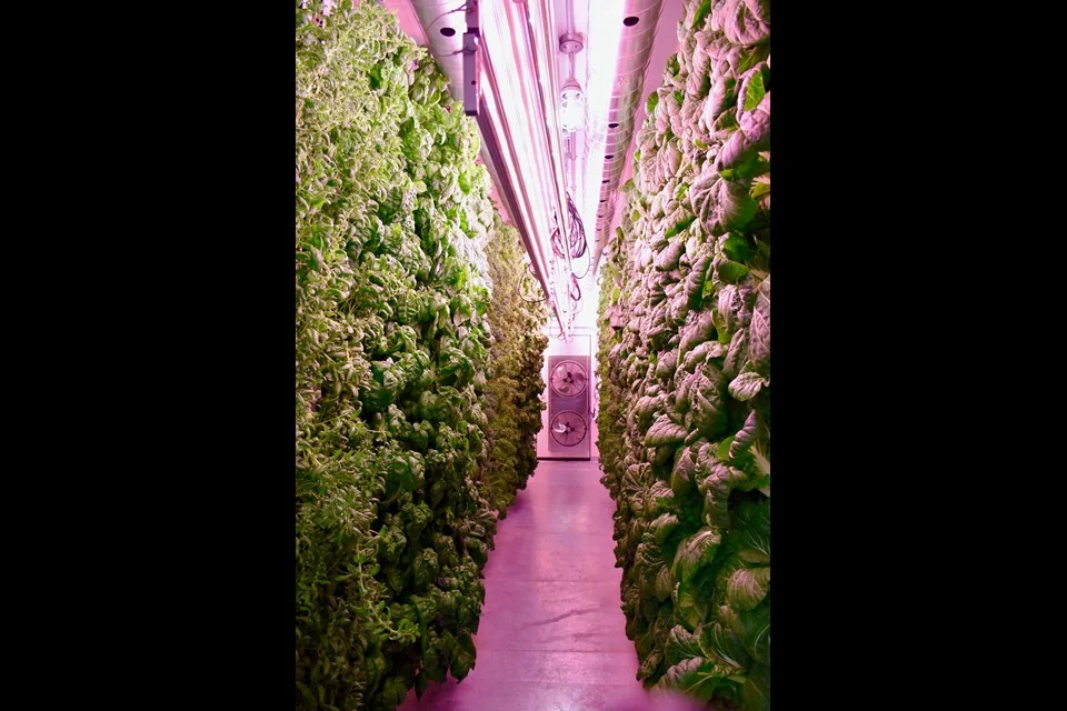 2018-06-22-borealis-fresh-farms4-mh.jpg
