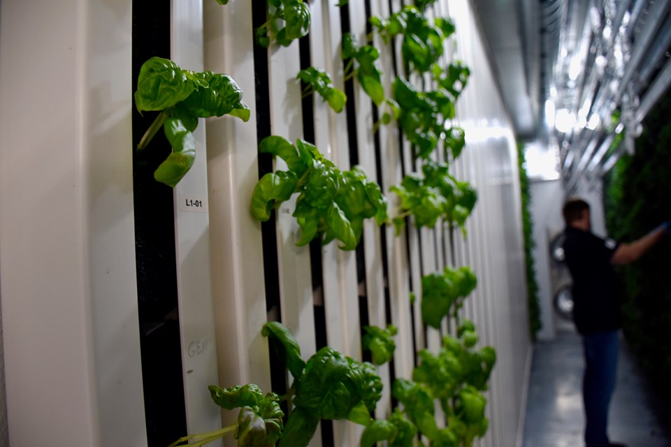 2018-06-22-borealis-fresh-farms3-mh.jpg