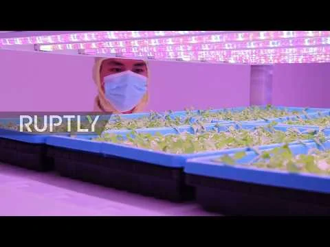 China's Green revolution - world's largest smart vegetable patch (Copy)