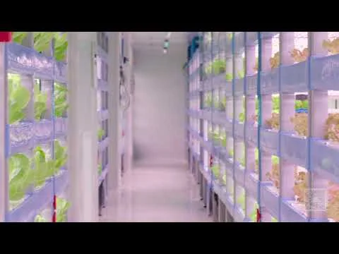 Sananbio U.S. - Oasis Biotech (Copy)