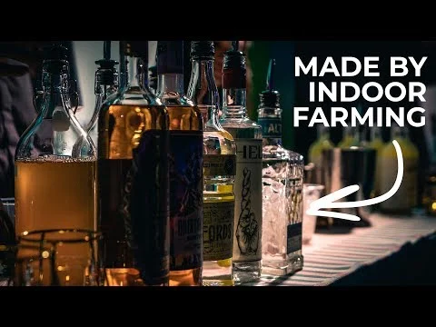 THE LARGEST INDOOR FARM IN THE COUNTRY (Copy)