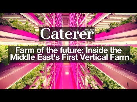 Farm of the future: Inside the Middle East's First Vertical Farm (Copy)