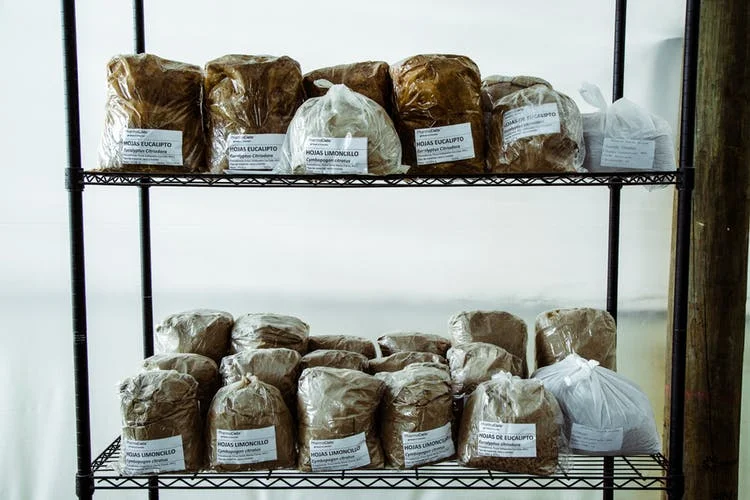 Pharmacielo-could-become-a-leader-in-the-global-medical-cannabis-market-29.jpg
