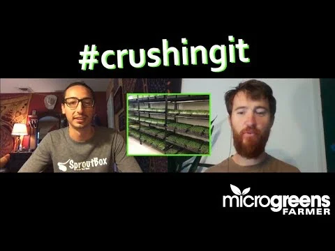 Student builds $8000 per month microgreens business delivering door to door (full interview) (Copy)