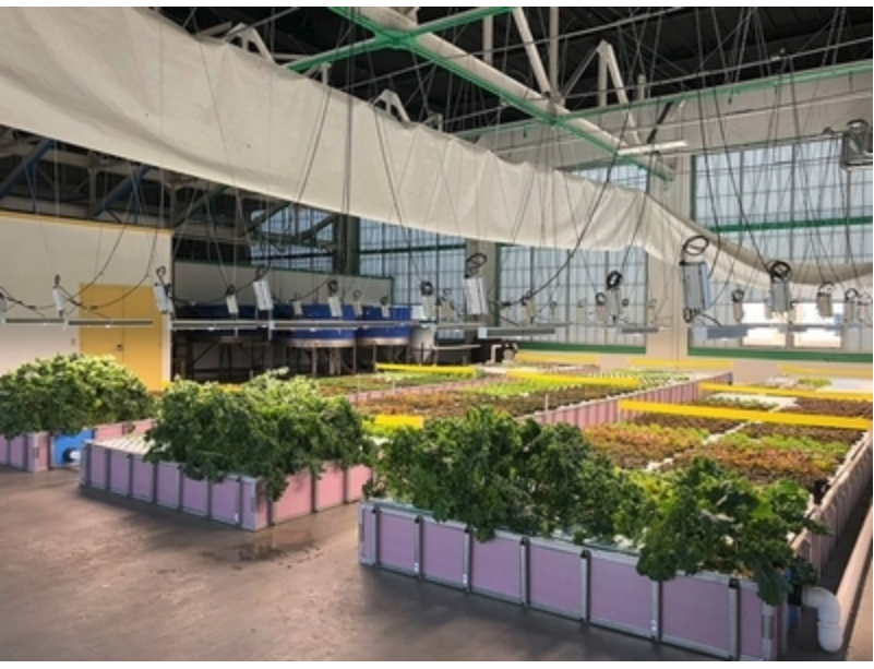 PHOTO | TRIFECTA ECOSYSTEMS