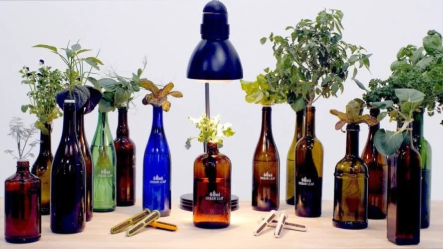 Urban Leaf offers a kit to turn glass bottles into miniature, soil-less gardens.