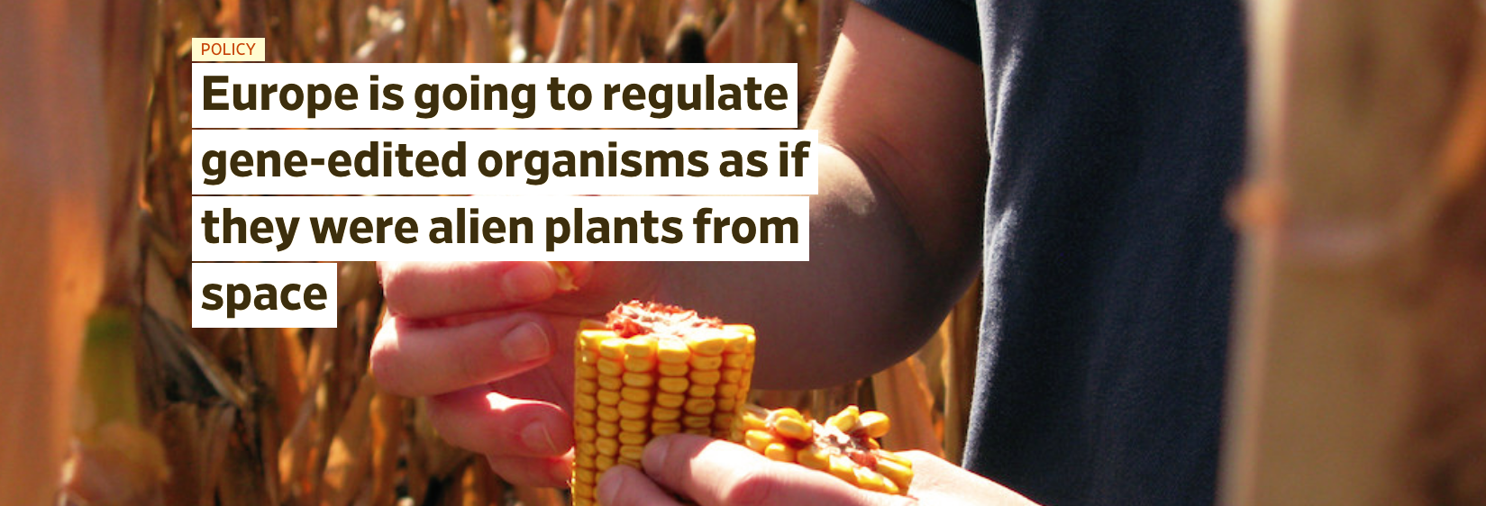 Europe Is Going To Regulate Gene-Edited Organisms As If They Were Alien Plants From Space