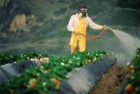 Monsanto’s Court Ruling Marks A Turning Point For Cancer-Causing Weed Killer