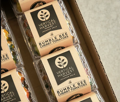 Plans Advancing For $16M-$17M High-Tech Greenhouse Along Prince Street Garage