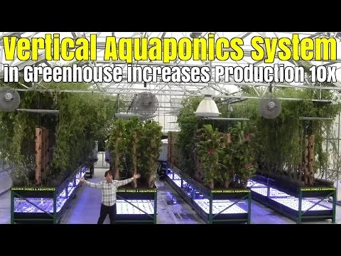 Vertical Aquaponics System use Bamboo Towers in Greenhouse to Increase Production 10x (Copy)