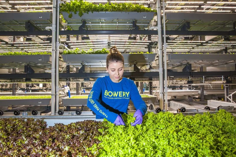 Katie Morich, a farmer at indoor vertical farm startup Bowery Farming. Photographer: David Williams/Bloomberg