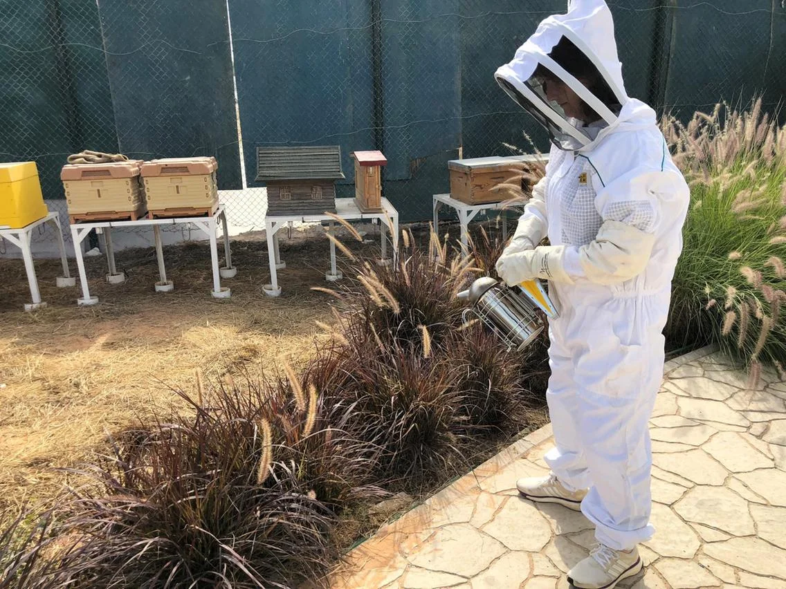 Bees 5.jpg