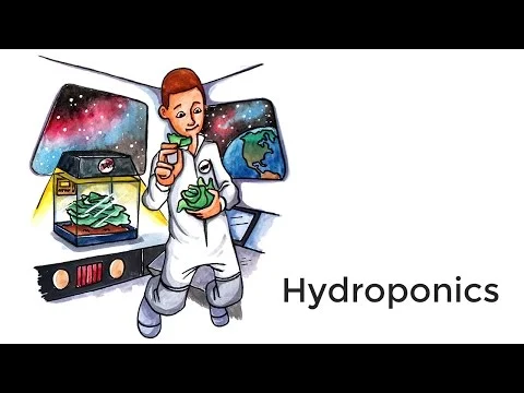 Hydroponics - A short introduction (Copy)