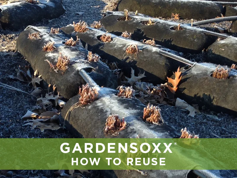 GardenSoxxHowToReuse.jpg