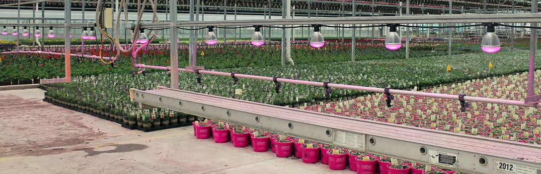 Screen Shot 2018-10-16 at 2.56.49 PM.png