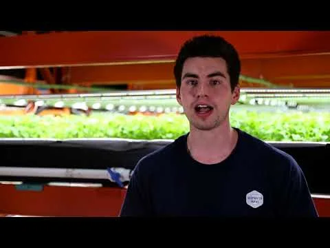 Deepwater Farms | Our Aquaponics System Explained (Copy)