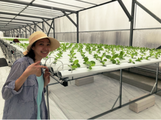 Bok Choy progressing quickly!