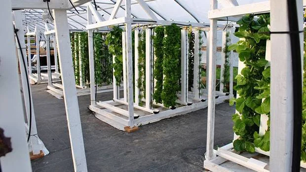 Research Shows Vertical Farming Has Limits