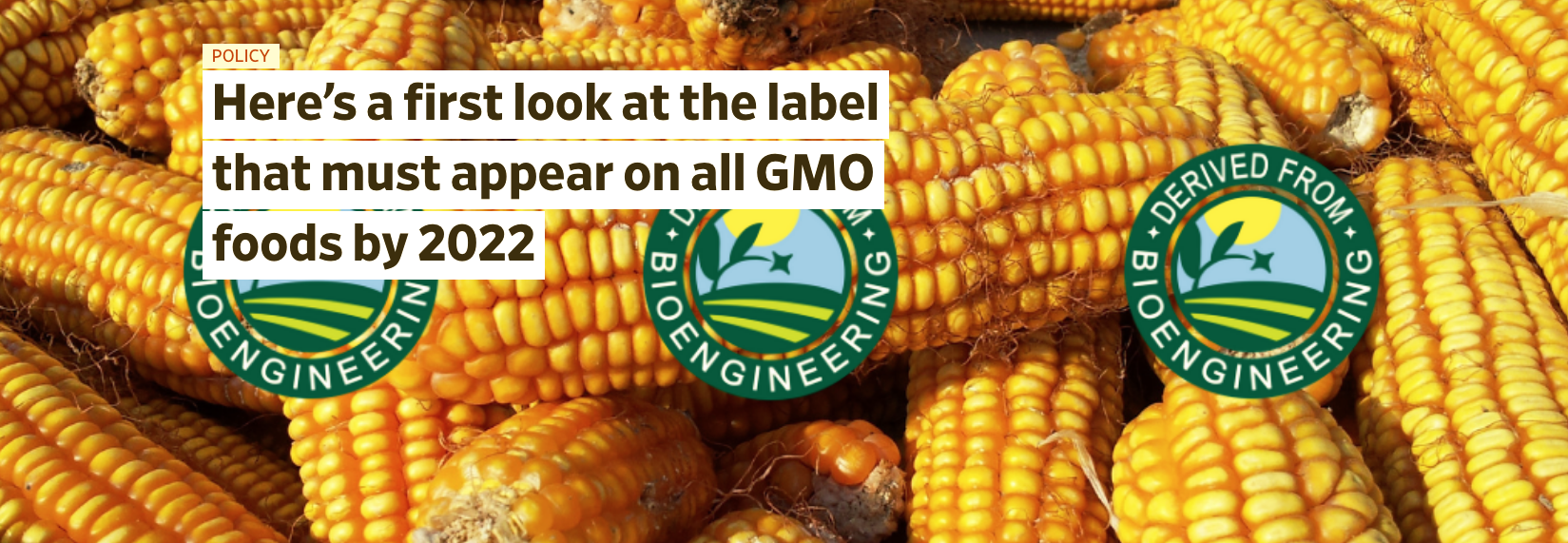 Images: USDA, Canva. Graphic: NFE